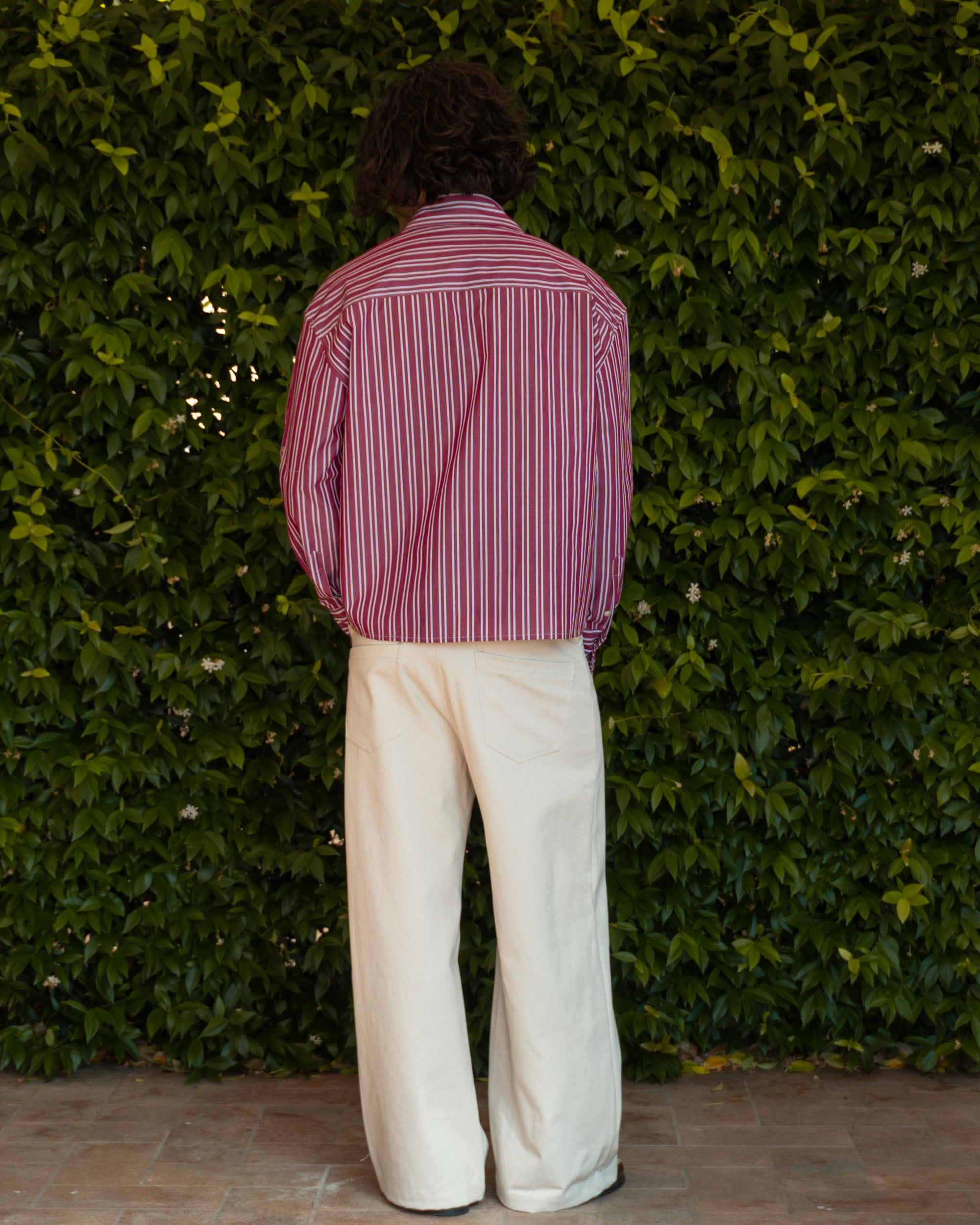 Cranberry Cotton Striped Shirt
