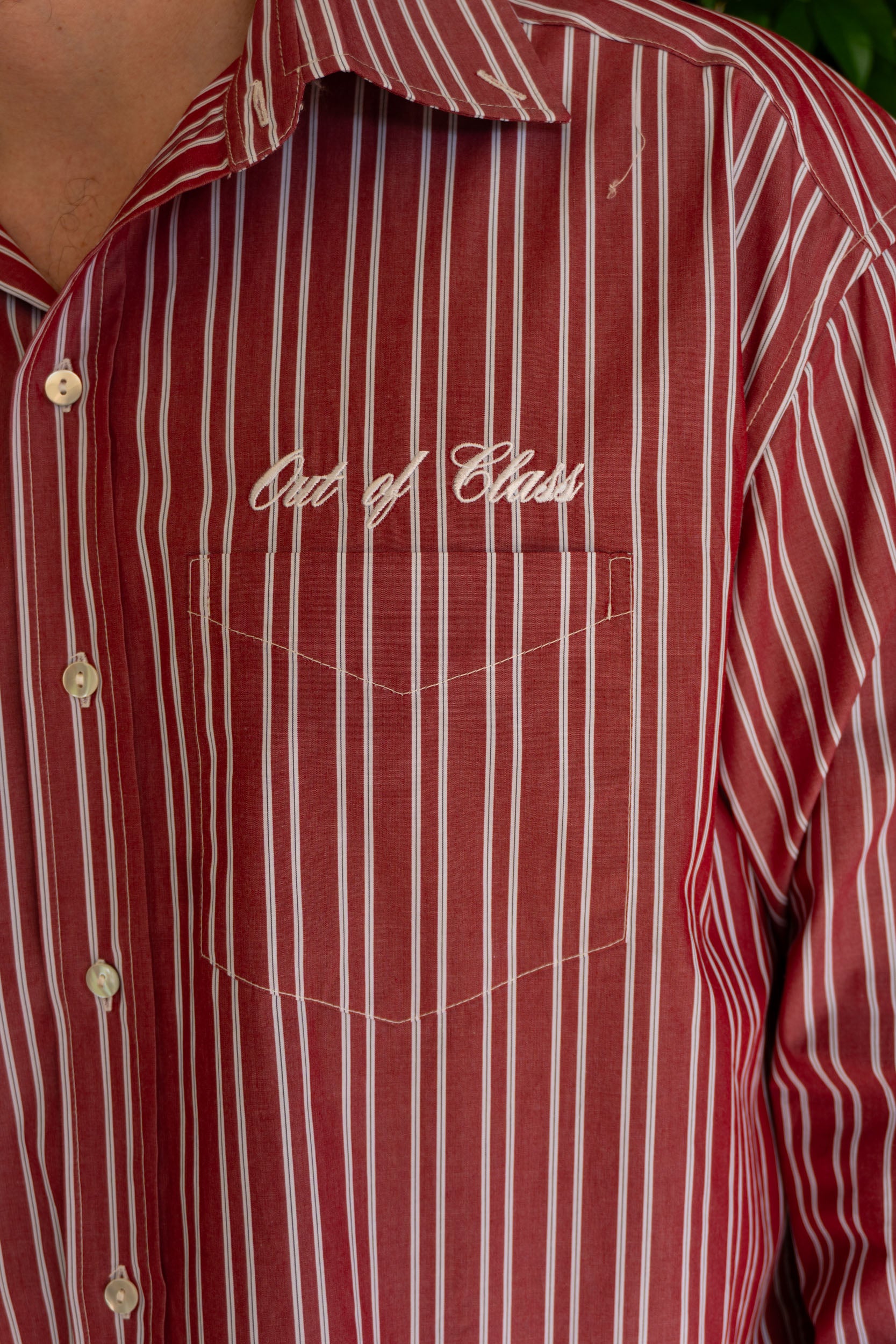 Cranberry Cotton Striped Shirt